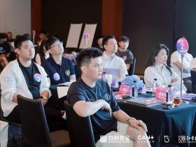 战略咨询案例|撬动企业战略咨询成功助力企业实现可持续增长