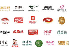 共生共存，迈向可持续增长：撬动企业战略咨询助您品牌战略稳固发展