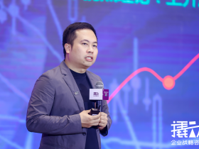 上海撬动战略咨询：为企业赋能与创业者共生，共创可持续增长